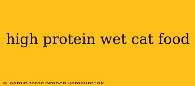 high protein wet cat food