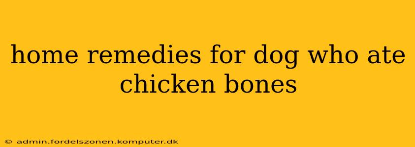 home remedies for dog who ate chicken bones
