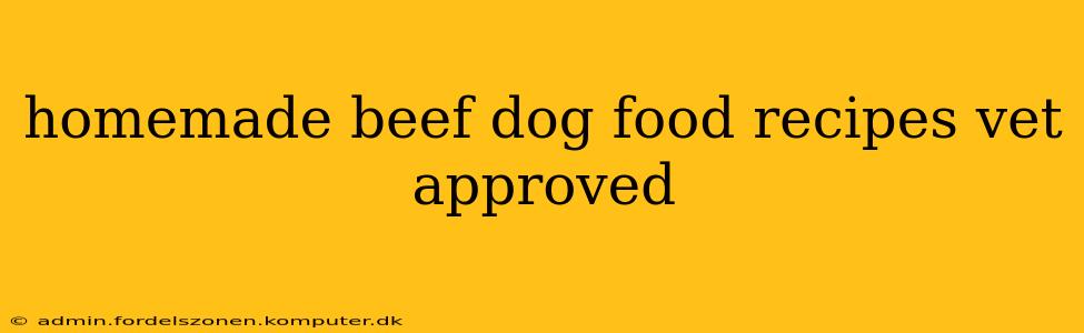 homemade beef dog food recipes vet approved