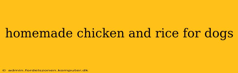 homemade chicken and rice for dogs