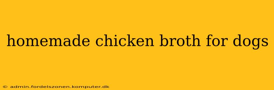 homemade chicken broth for dogs