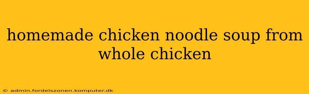 homemade chicken noodle soup from whole chicken