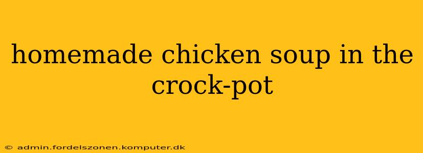 homemade chicken soup in the crock-pot