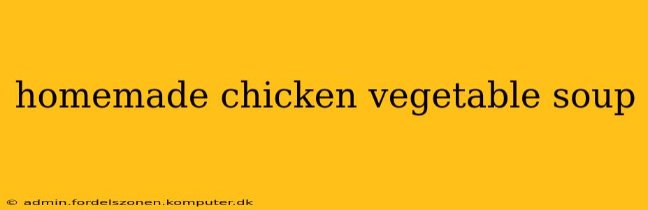 homemade chicken vegetable soup