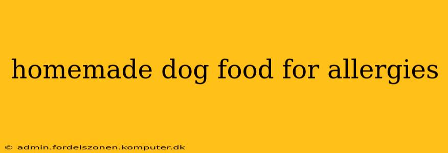 homemade dog food for allergies