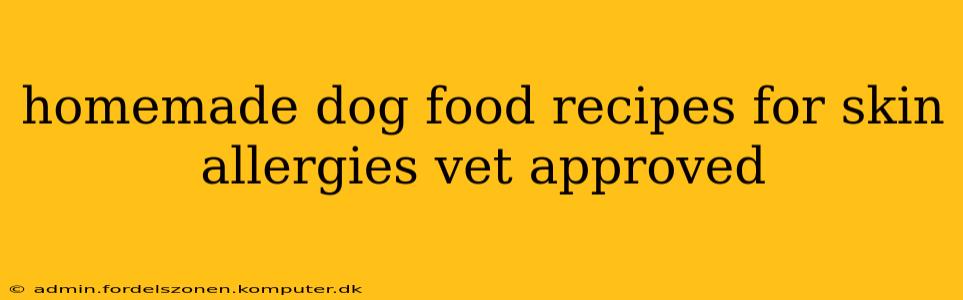 homemade dog food recipes for skin allergies vet approved