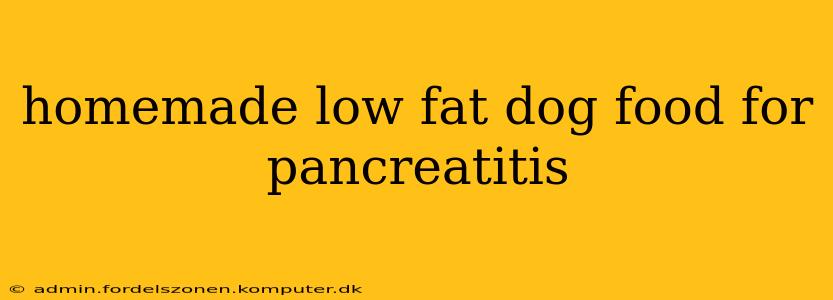 homemade low fat dog food for pancreatitis