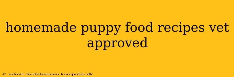 homemade puppy food recipes vet approved