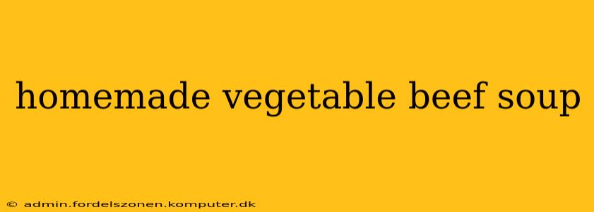 homemade vegetable beef soup