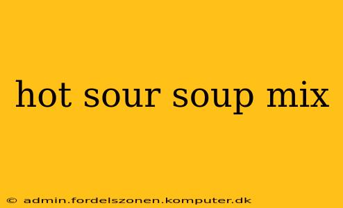 hot sour soup mix