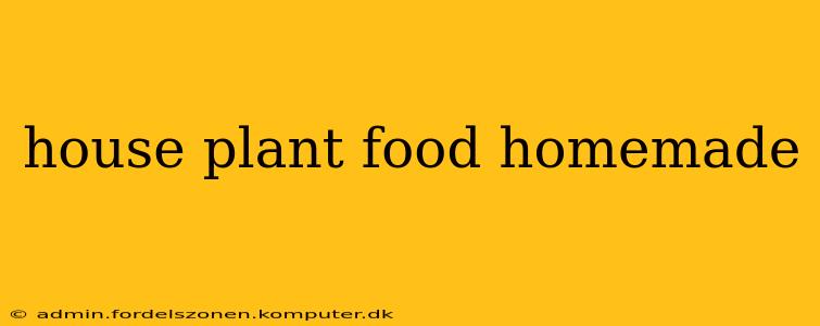 house plant food homemade