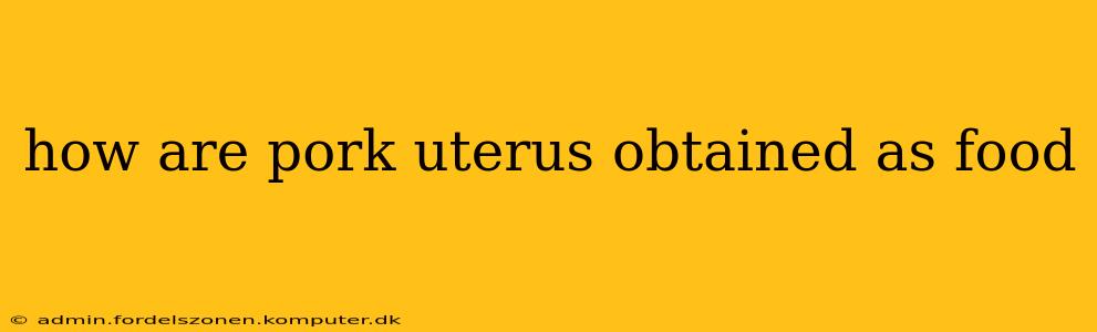 how are pork uterus obtained as food