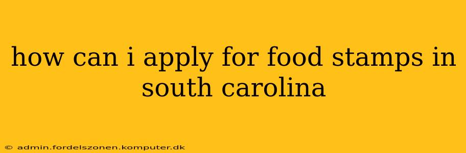 how can i apply for food stamps in south carolina