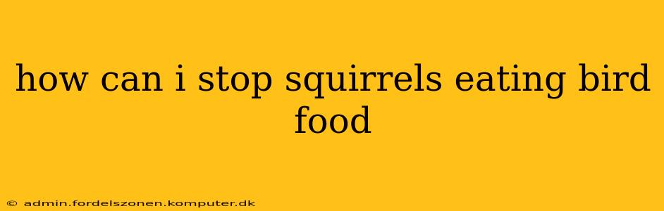 how can i stop squirrels eating bird food