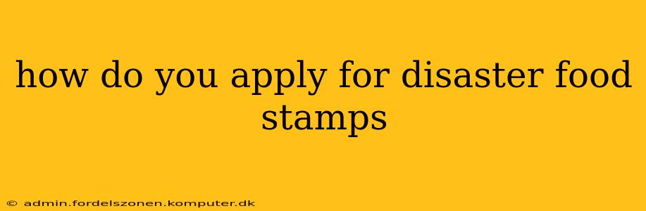 how do you apply for disaster food stamps