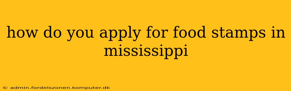 how do you apply for food stamps in mississippi