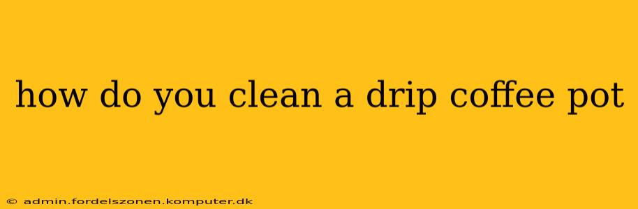how do you clean a drip coffee pot