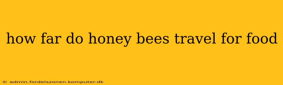 how far do honey bees travel for food