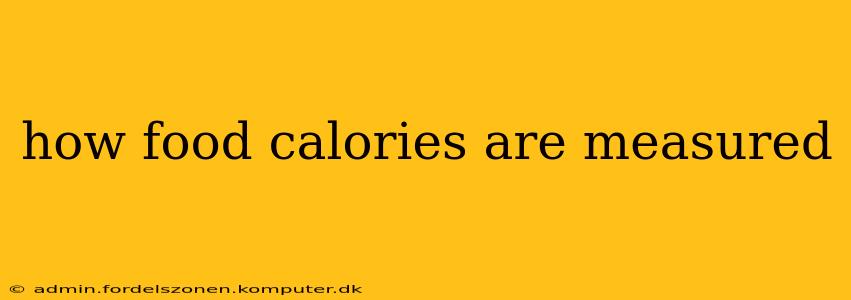 how food calories are measured