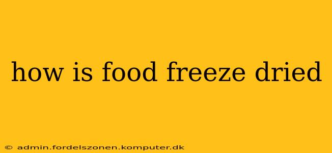 how is food freeze dried