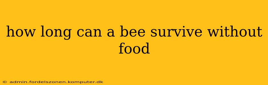 how long can a bee survive without food