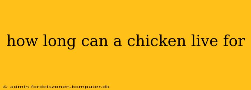 how long can a chicken live for