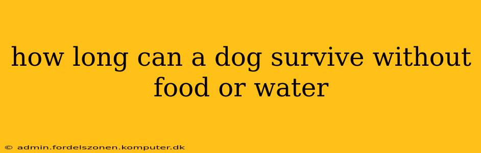 how long can a dog survive without food or water