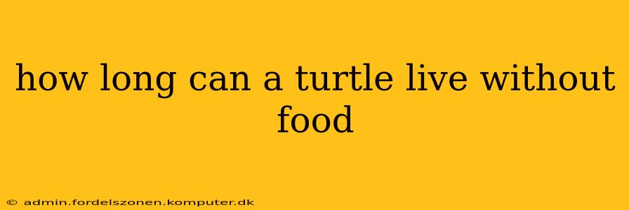 how long can a turtle live without food