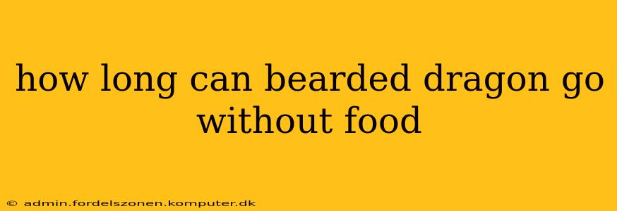 how long can bearded dragon go without food