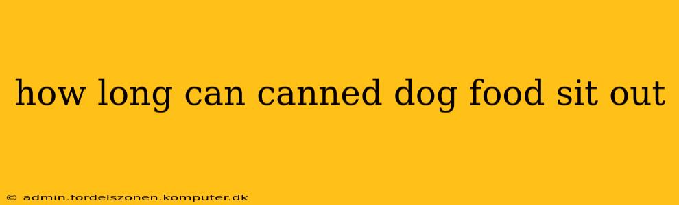 how long can canned dog food sit out