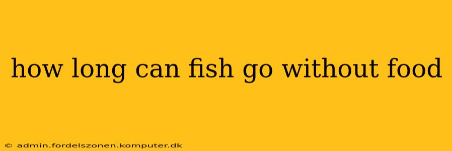 how long can fish go without food