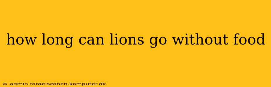 how long can lions go without food