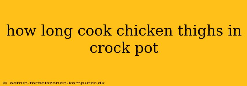 how long cook chicken thighs in crock pot