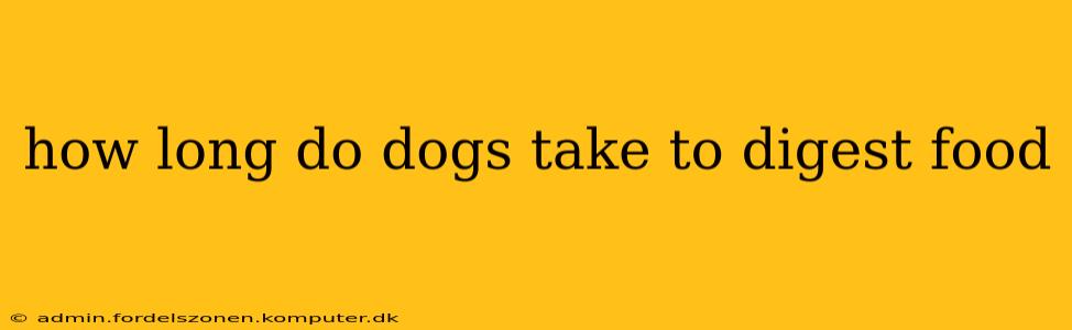 how long do dogs take to digest food