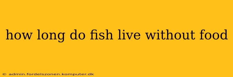 how long do fish live without food