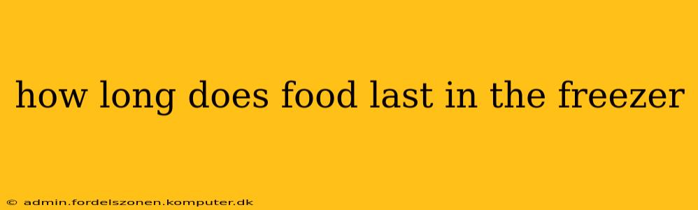 how long does food last in the freezer