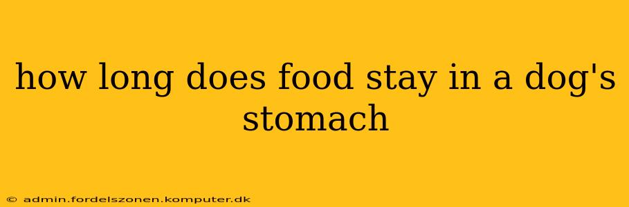 how long does food stay in a dog's stomach