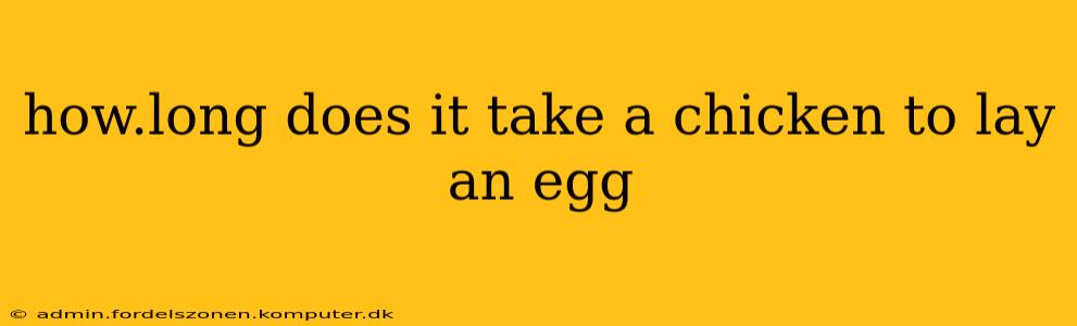 how.long does it take a chicken to lay an egg