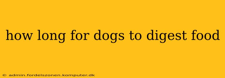 how long for dogs to digest food