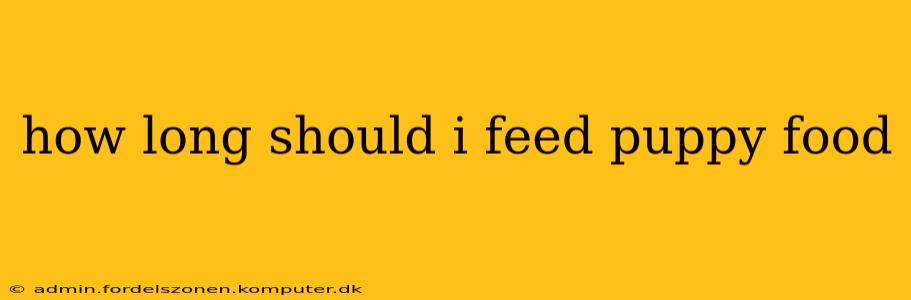 how long should i feed puppy food