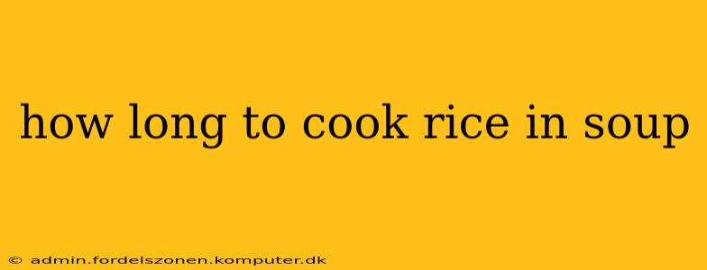 how long to cook rice in soup