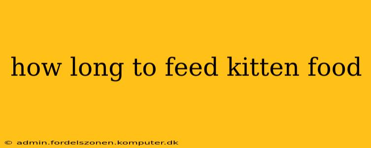 how long to feed kitten food