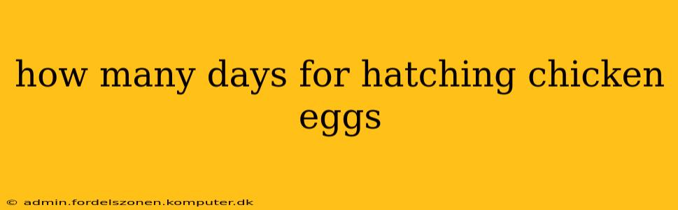 how many days for hatching chicken eggs