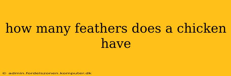 how many feathers does a chicken have
