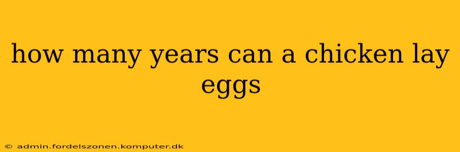 how many years can a chicken lay eggs