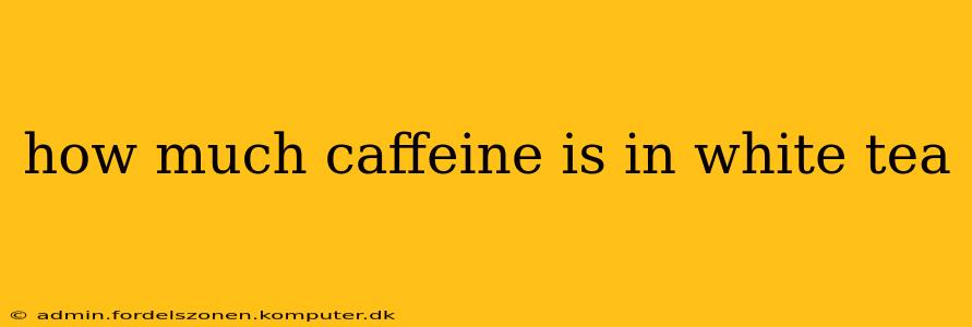 how much caffeine is in white tea
