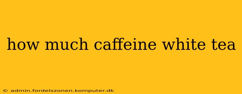 how much caffeine white tea