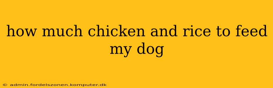 how much chicken and rice to feed my dog