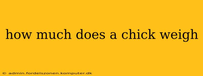 how much does a chick weigh