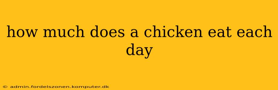 how much does a chicken eat each day